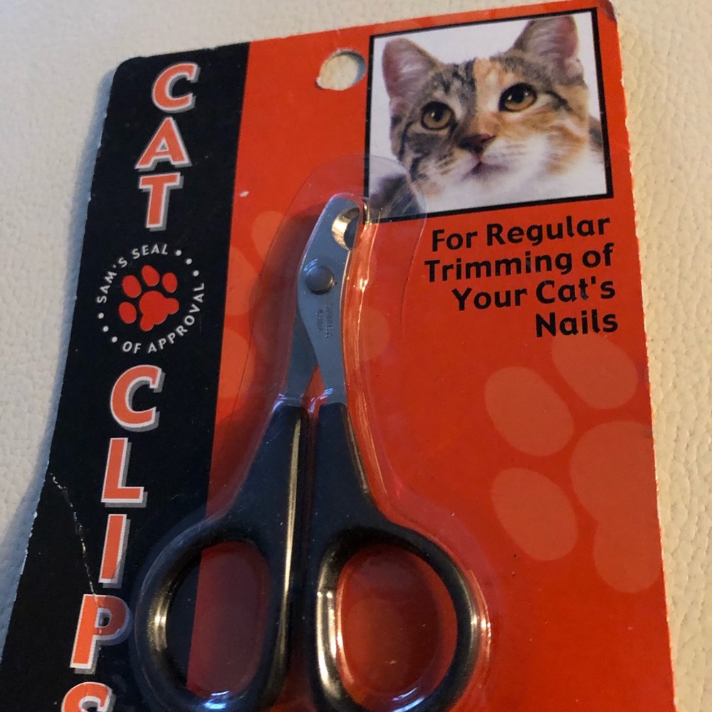 CATS 🐈 - Picture 4 of 5